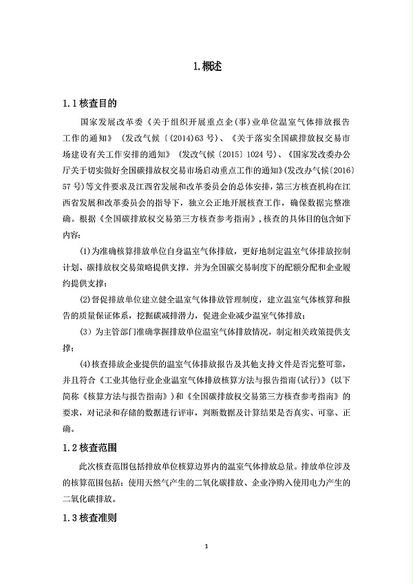 江西宏远化工有限公司温室气体核查报告(2)_6